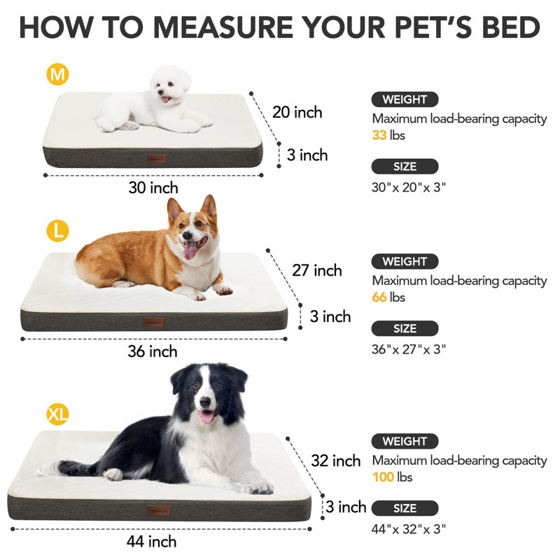 Orthopedic Dog Bed with Removable Cover, Dark Grey, 30" H x 20" W x 3" D