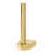 Polished Brass