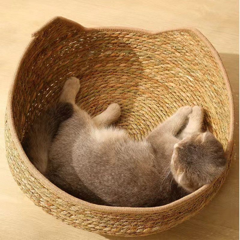 Lit pour chien en gazon tissé, lit pour animaux de compagnie toutes saisons, lit pour chat avec griffoir, lit pour chat amovible et lavable en gazon synthétique