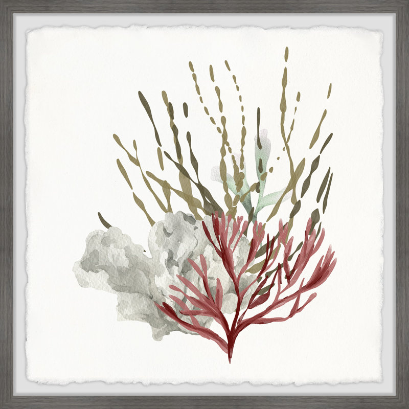 Sea Vegetables - Single Picture Frame Print, 81cm H x 81cm W x 3.81cm D
