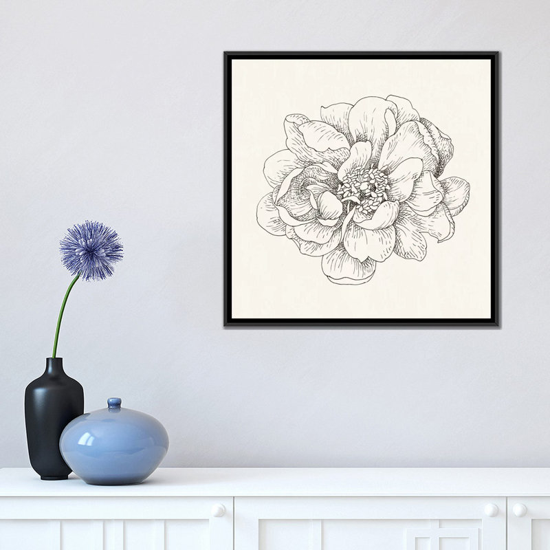 « iv », impression sur toile tendue Pen And Ink Florals, H 37 po x l 37 po x P 1,5 po, Toile encadrée noire, Pas de tapis
