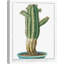 Tithymalus 1 Piece Wrapped Canvas Painting-1903912064