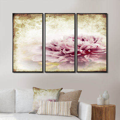 Pink Peony In Vintage Style - 3 Piece Floater Frame Painting on Canvas -  Red Barrel StudioÂ®, 5F9159555EE544FC89746C4DB43DFA88