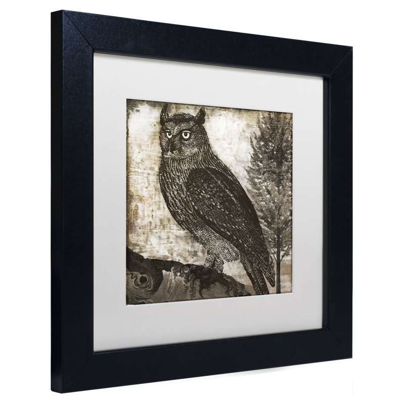 Jadaya «Owl 2» par Color Bakery, impression encadrée, H 11 po x l 14 po x P 0,5 po, Blanc