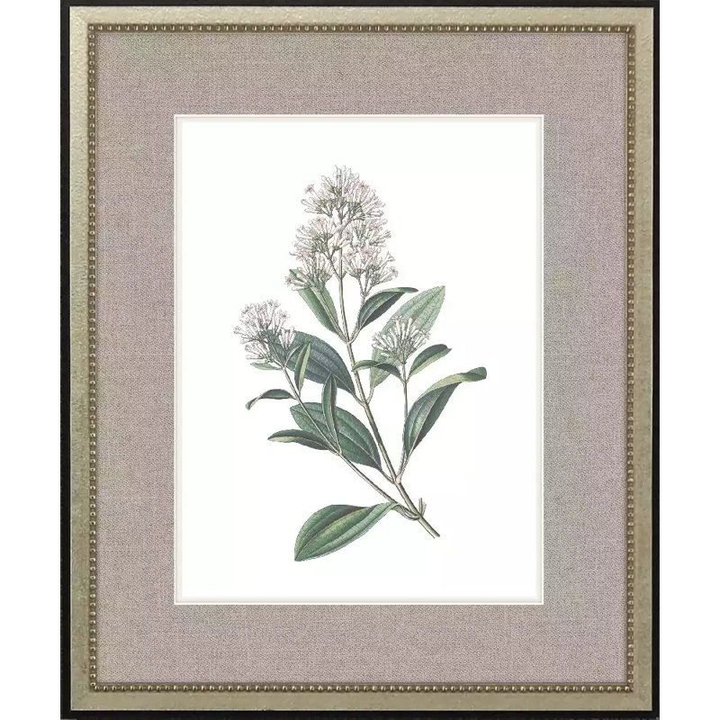 White Flowers S/4 Set by Giclee Studio