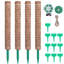 Treillis arqué en bois H 1,8 po x l 1,8 po Rhylee
