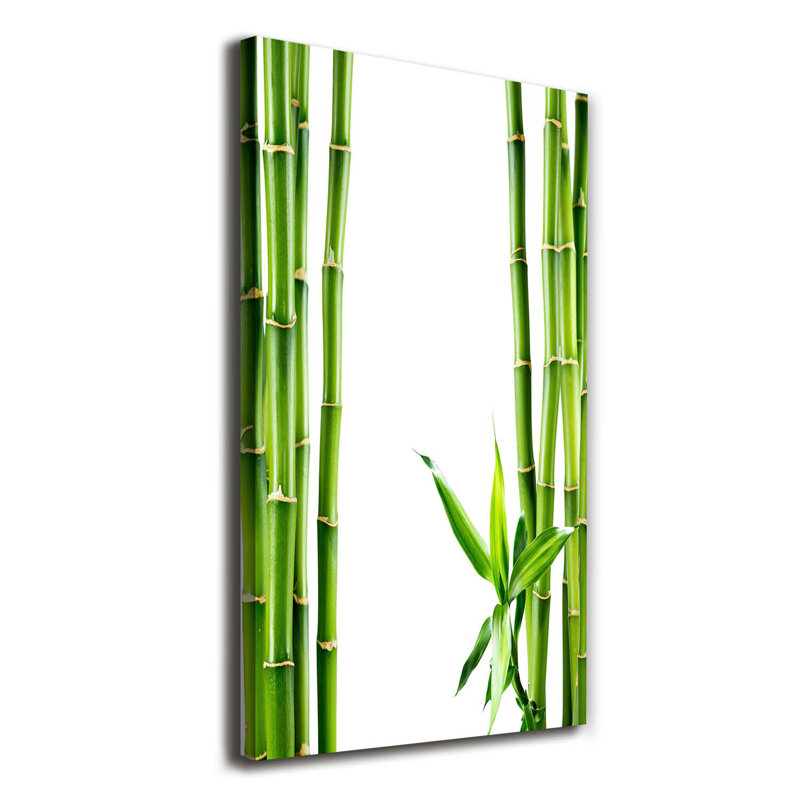 Bamboo - Wrapped Canvas Print