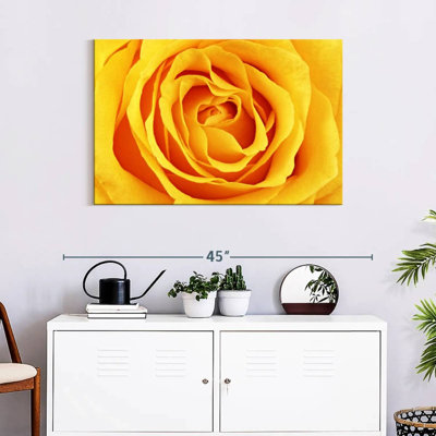 Harnek Lemony Rose