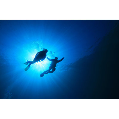 Plongée sous-marine - Photographie sur toile tendue