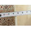 Tapis blanc 2 pi 9 po x 6 pi 3 po One-of-a-Kind