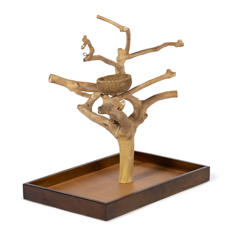 Freeport One-of-a-Kind 22.5'' Wood Bird Play Stand for Table Top