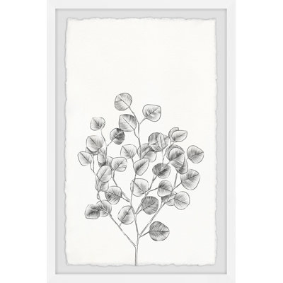 Eucalyptus Sketch IV - Single Picture Frame Painting