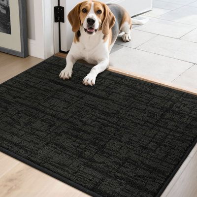 Non-Slip Absorbent Door Mat with TPR Backing – Soft, Washable, Low-Profile Doormat for Indoor Entrance, Perfect for Pets & Family