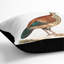 Curria Partridge Illustration Square Throw Cushion-56287041-56287040
