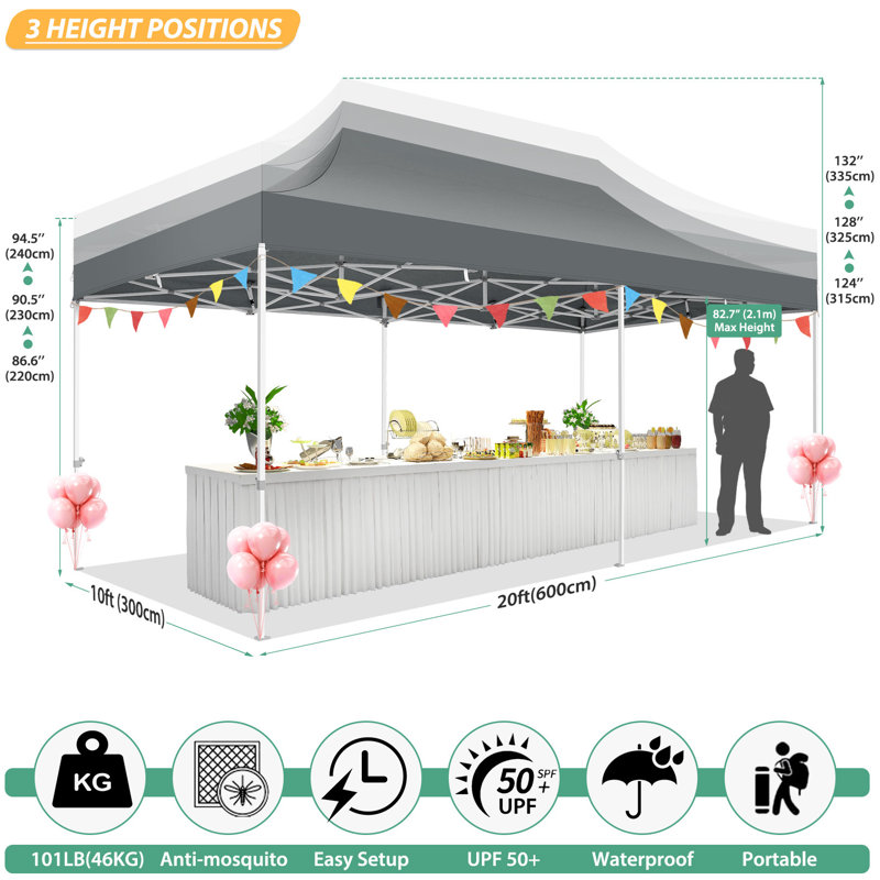 10'x20' Heavy Duty Canopy Tent, Pop up Gazebo with Netting Screened, Grey