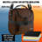 Zulay Kitchen Insulated Lunch Bag Reusable Dual Compartments with Adjustable Strap-540428381
