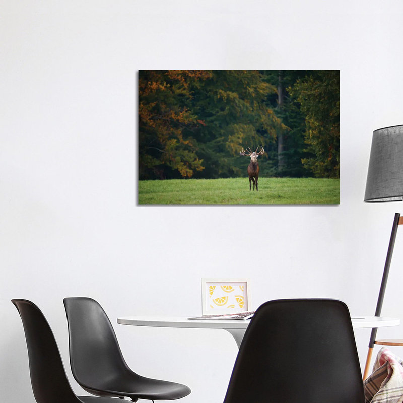 Roar 1 Piece Wrapped Canvas Wall Art, 101.6 cm H x 66.04 cm W x 1.91 cm D