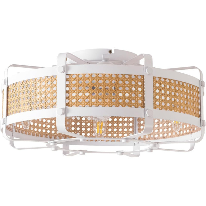 Ventilateurs de plafond avec lumières, ventilateur de plafond Boho de 20 po avec plafonnier encastré, cage en rotin fermée avec 6 vitesses, télécommande pour chambre de bébé
