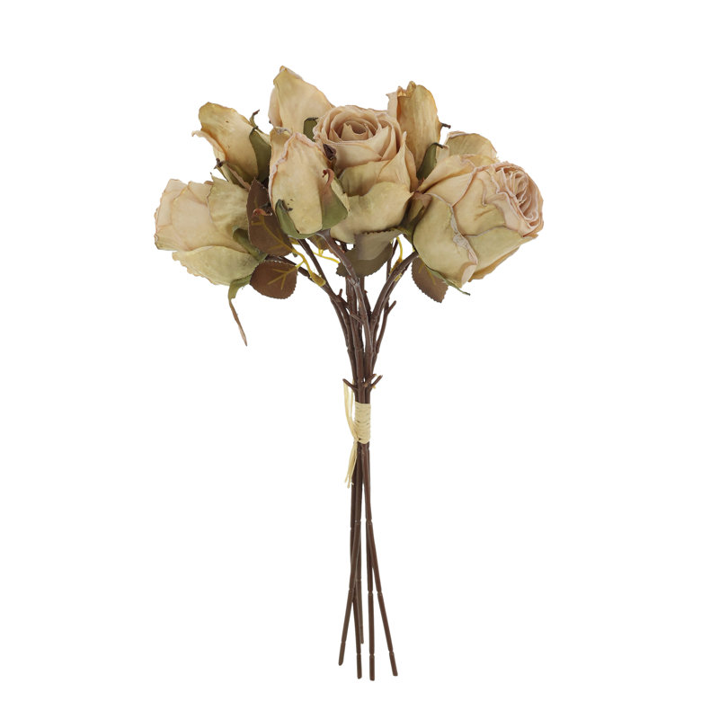 Roses antiques