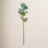 Ranbir Hydrangea Stems