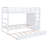 Bunk Bed With Trundle And Staircase,-300978640
