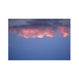 Pink Cloud Print by Francis Augustine