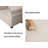 63 Inch Loveseats Sofa Bed-106838670