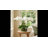 Kerwin Organic Modern Orchid Arrangement