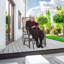 Armandino Metal Rocking Chair