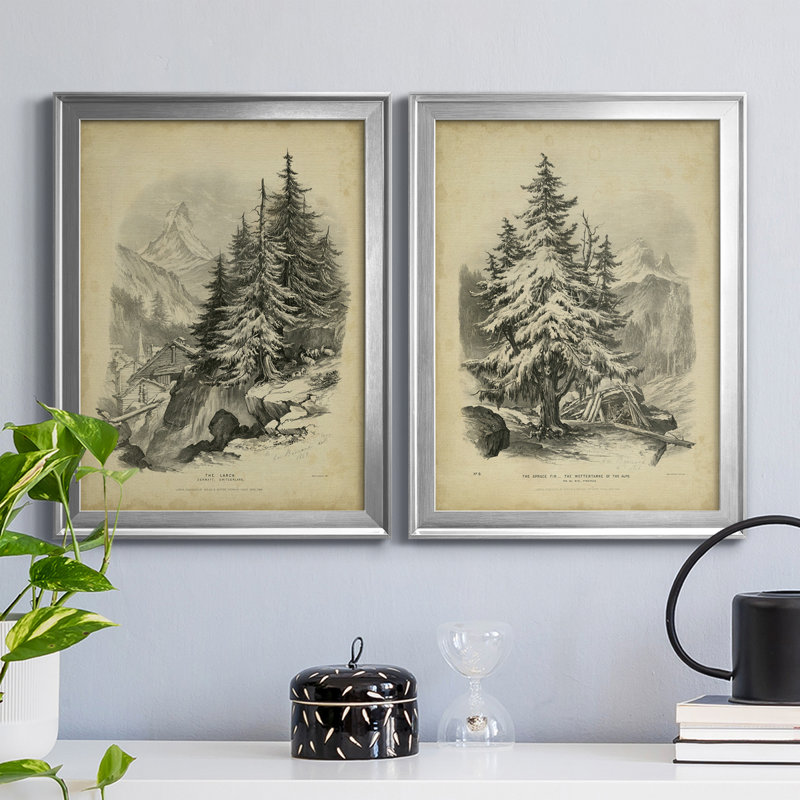 «The Larch», reproduction encadrée de qualité supérieure - prête à être accrochée, Cadre argenté