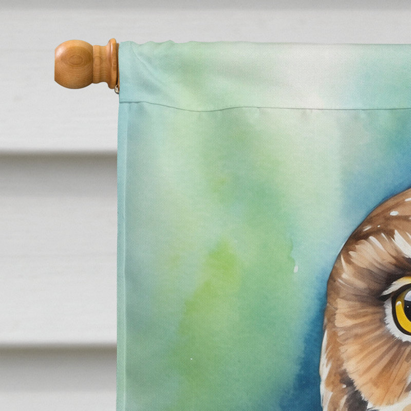 House Flag, Northern Pygmy Owl