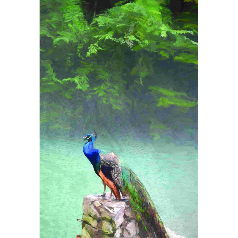 Paon sur des rochers avec de l'eau par - on, H 12 po x l 8 po