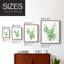 Eucalyptus III, reproduction encadrée - bois massif-1564047301-1564047310