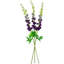 Tiges Delphinium-86731933