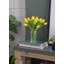 Tucson Tulip Arrangement-1761452370-1761452369