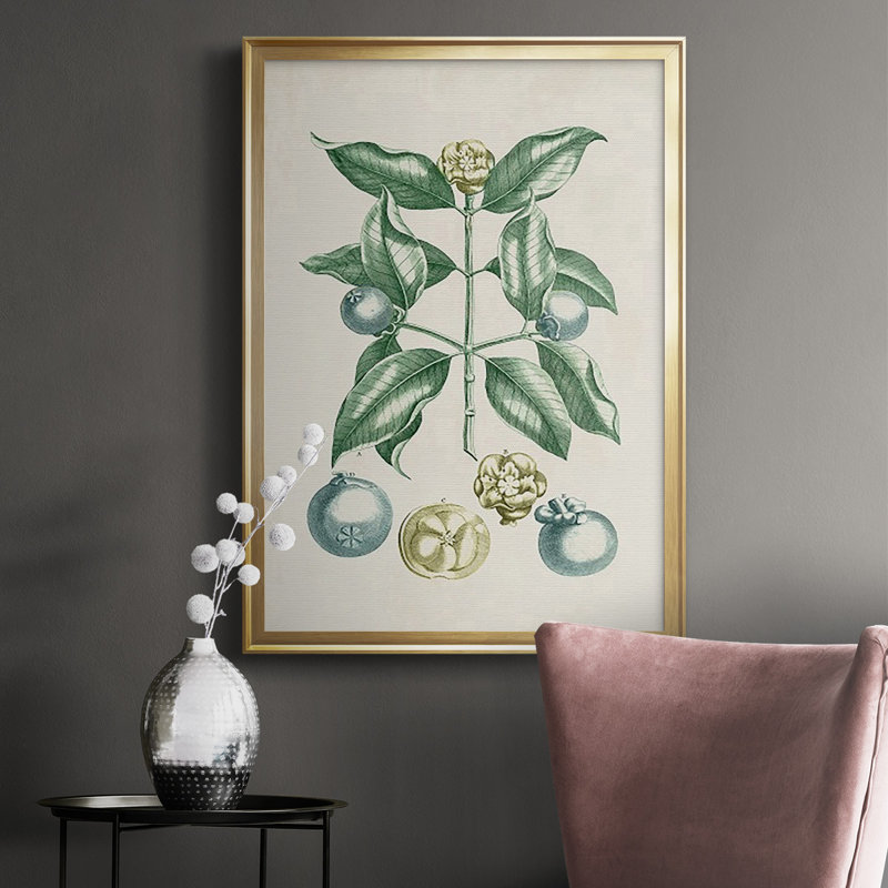 Buchoz Tropicals VII, reproduction d'art encadrée, Or, H 42,5 po x l 30,5 po x P 1 po