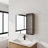 Bathroom Mirror Cabinet with Storage