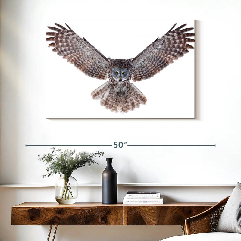 Owl Power, H 26 po x l 39 po