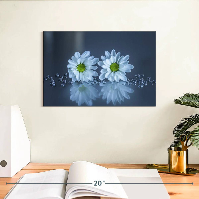 Harnek White Daisies, 8" H x 12" W