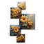 Tournesols gris et jaunes doux, ensemble de 5 tournesols