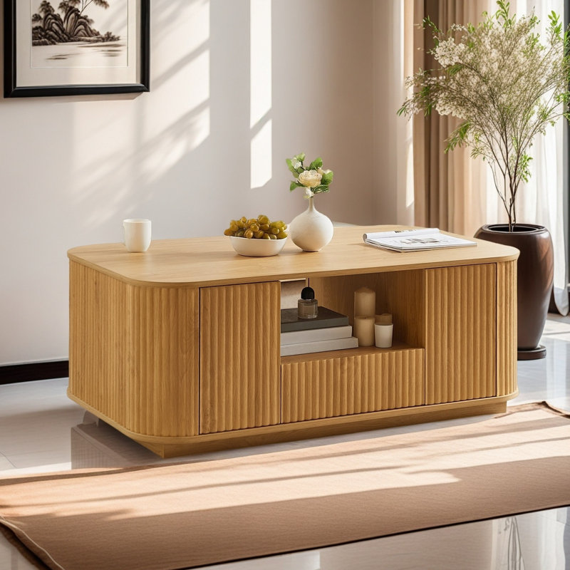Table basse ovale moderne avec rangement, Naturel