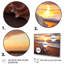 «Sunset Shoreline Treasures III, 5 pièces», 5 pièces-1462196230