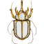 Beetle Mirror Wall Décor