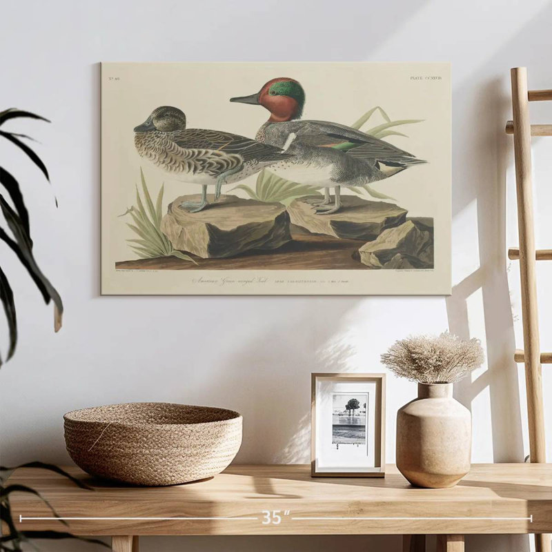 Winged Teal, 16" H x 24" W