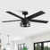 Rish 52'' Ceiling Fan with Light Kit