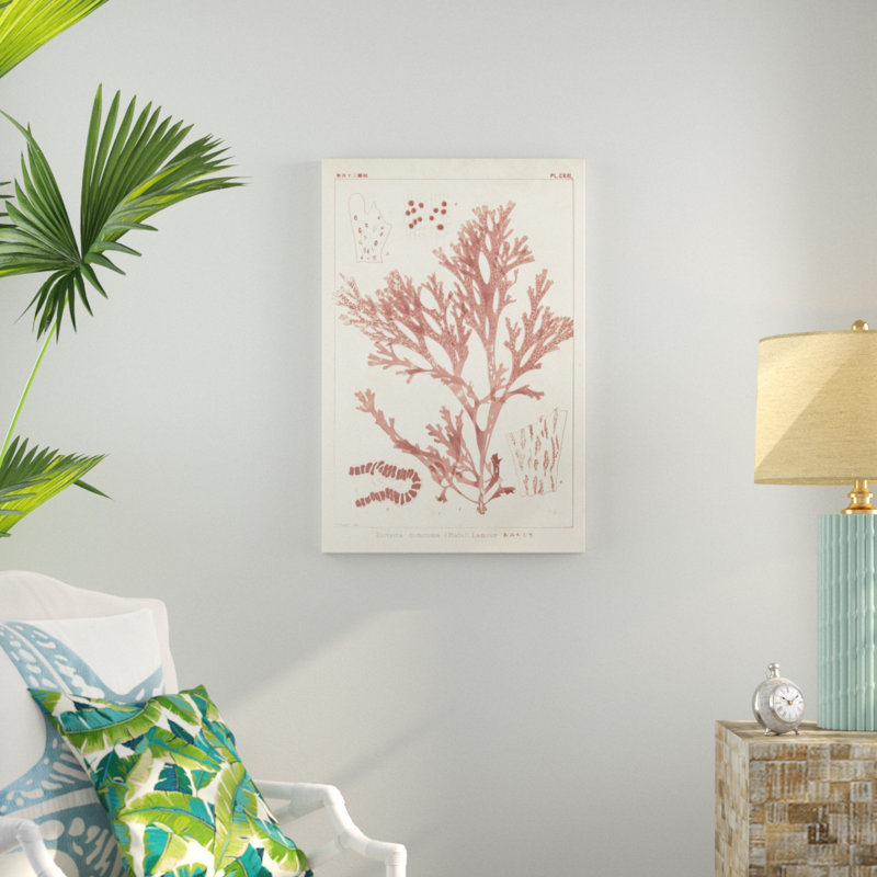 'Antique Coral Seaweed I' - Painting Print, 91cm H x 61cm W, Wrapped Canvas