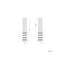Kemberly 2 - Light LED Armed Sconce-1674131802