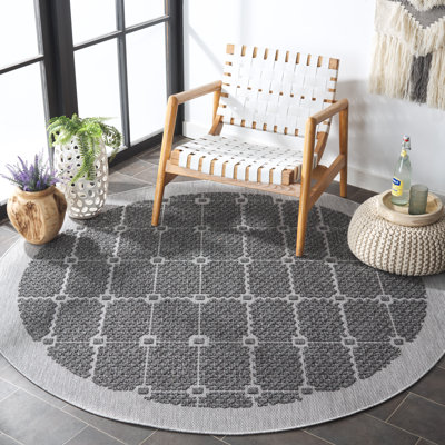 Koudai Performance Oriental Indoor/Outdoor Area Rug