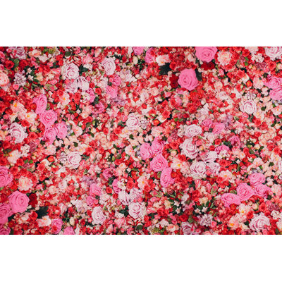 " Wall Of Red And Pink Roses. Many Flowers "