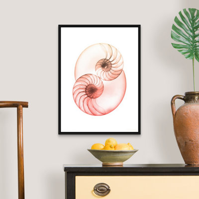 "Sunset Shell 1" par Albert Koetsier, reproduction d’art sur toile